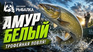 [Фидер] Точка на «Амур Белый» Оз. Старый Острог [RF-4]