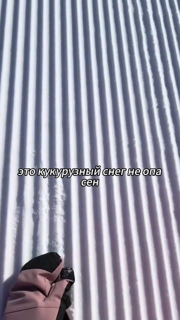 #популярный