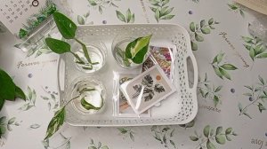 Сериал «Цветочный рай» Новинки мая☘️🌺😉