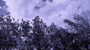 Грустная мелодия без слов. Грустная мелодия из Тик Тока