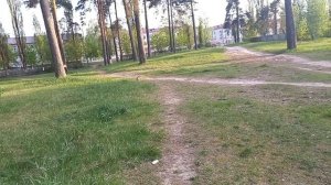 Удивительная и красивая природа средней полосы России