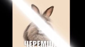 Эдит про Черемшу