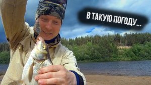 РЫБАЛКА НА ЛЕЩА. ДУМАЛ КЛЁВА НЕ БУДЕТ