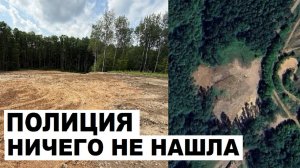 Незаконная вырубка Салтыковского лесопарка. А полиция Балашихи «потеряла» дело?
