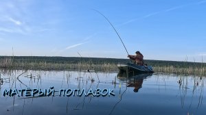 Ловим монстров стоячей воды 2026