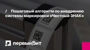 Пошаговый алгоритм по внедрению системы маркировки «Честный ЗНАК» | Первый Бит