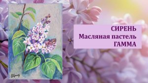Рисуем сирень масляной пастелью ГАММА