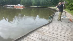 Утро на водоёме