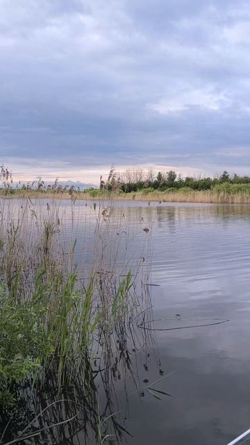 рыбалка #природа