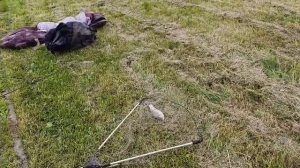 VID-20260530-WA0003