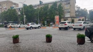 30-05-2026 День второй. Здравствуй град.
