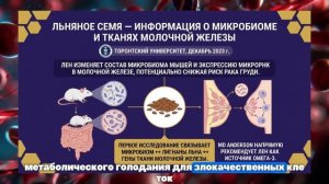 3 протеиновых батончика для онкологических пациентов — рецепты без сахара и химии