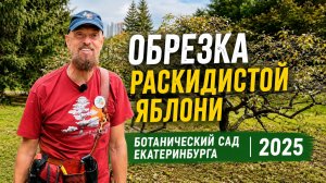 Обрезка раскидистой яблони в Ботаническом саду Екатеринбурга в 2025 году🍎