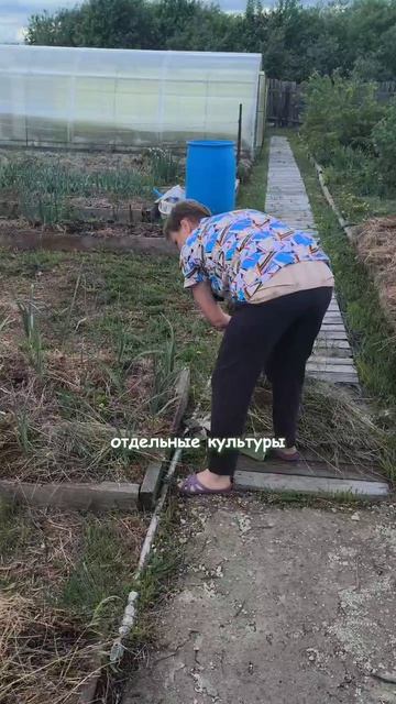 2 рулона сена