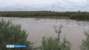 Вести. Ставропольский край» 30.05.2026 (20.50)