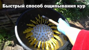 Самый быстрый способ ощипывание кур
