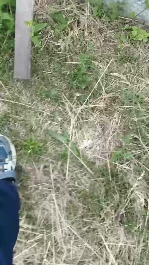 Гибдд