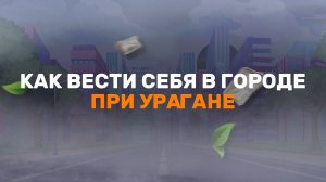 Как вести себя в городе при урагане