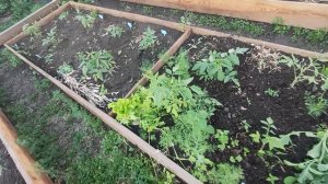 Ураган прошёл, последствия. 27.05.26 г.