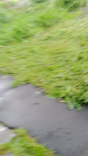 г уже анаагал