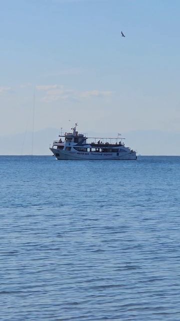 Море мое