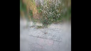 Порыв пластиковой трубы под землёй