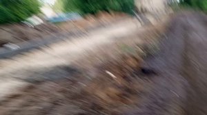треш во дворе