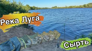 Сырть на луге 2026 / Отличная рыбалка на Луге
