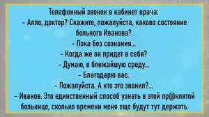 🔥Сын_Говорит_Отцу___Ленка_Отказалась_Выйти_За_Меня__Жизненные_Анекдоты