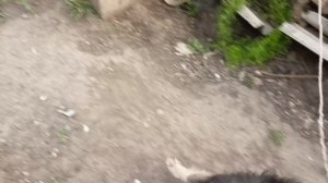 Херсонщина в гостях  у Жука (света нет у них 4 сутки)