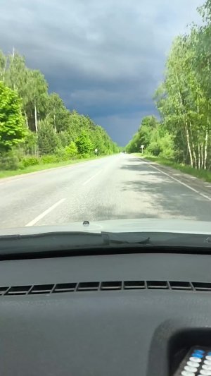 возможно, сейчас будет гроза.