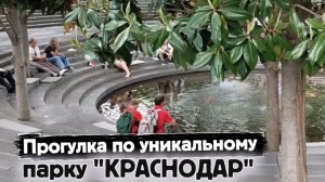 Пальмы, цветущий Рододендрон, космический туалет в парке Галицкого