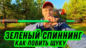 Спиннинг за 1000! Стратегия ловли щуки с берега