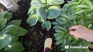 Влог/298/ Покупки/Гостинцы/ Замёрзла на даче/ Была у свахи...