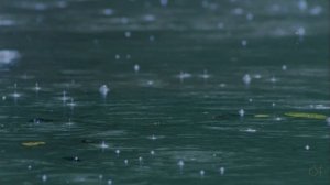 Mehdi - Heavens rain