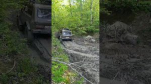 майские по лесу