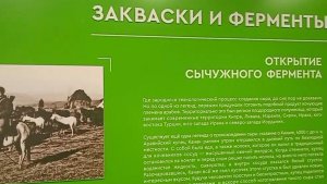 Часть 10. ПО ПРОСЬБЕ КАНАЛА « Село|Моя Жизнь|Online». ПРОИЗВОДСТВО СЫРОВ. ЭКО НИВА.