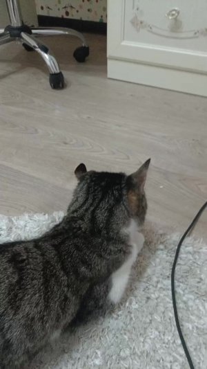 😊😊😊