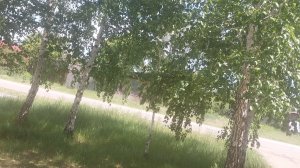 Деревня, солнце, реллакс)