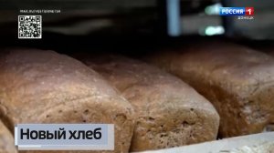 Новый хлеб