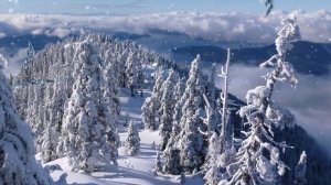 МУЗЫКА, ЧТО ПРОНИКАЕТ В САМОЕ СЕРДЦЕ