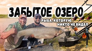 КРУПНАЯ РЫБА В МУТНОЙ ВОДЕ: СЕКРЕТЫ ЛОВЛИ В ЗАВОЗ
