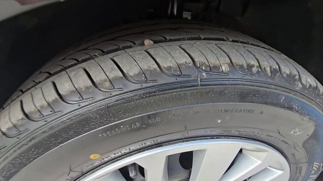 1000040511.mp4 смотреть онлайн