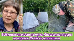 Всё кипит от злости на мужа. Спасаем помидоры от мороза. Хвалюсь гостинцами