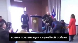 Показательная борьба с наркотиками пошла не по плану:

В Чили служебные собаки, обученные искать нар