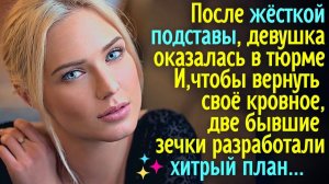 После жёсткой подставы, девушка оказалась в тюрме! И, чтобы вернуть кровное, был разработан план...