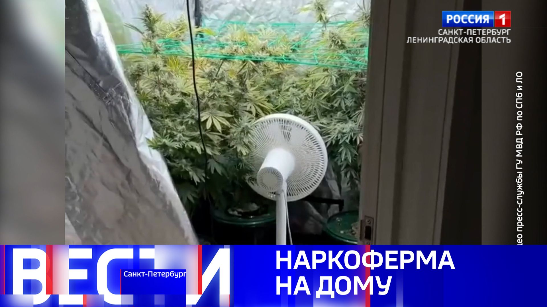 Вести Санкт-Петербург. Выпуск 14.30 от 30.05.2026 смотреть онлайн