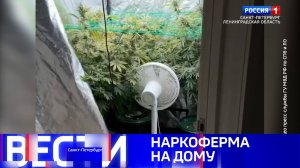 Вести Санкт-Петербург. Выпуск 14.30 от 30.05.2026