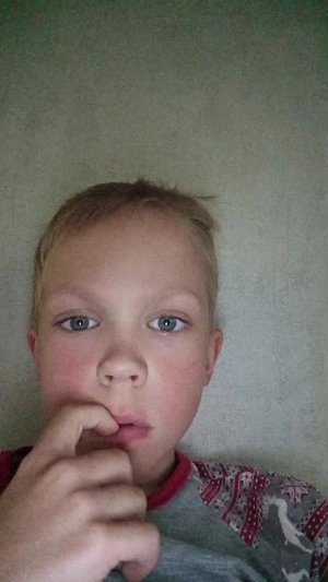 игра