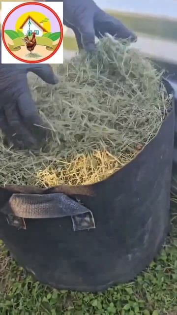 мульчирование